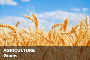 Séparation de L’agriculture