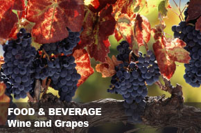 Séparation Aliments et Breuvages